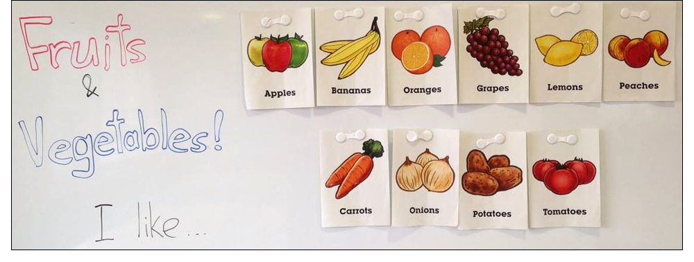 Picture Dictionary flash cards in use