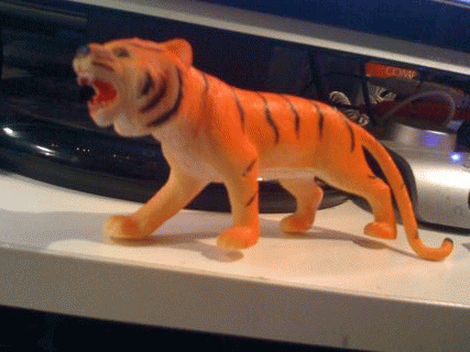tiger slide