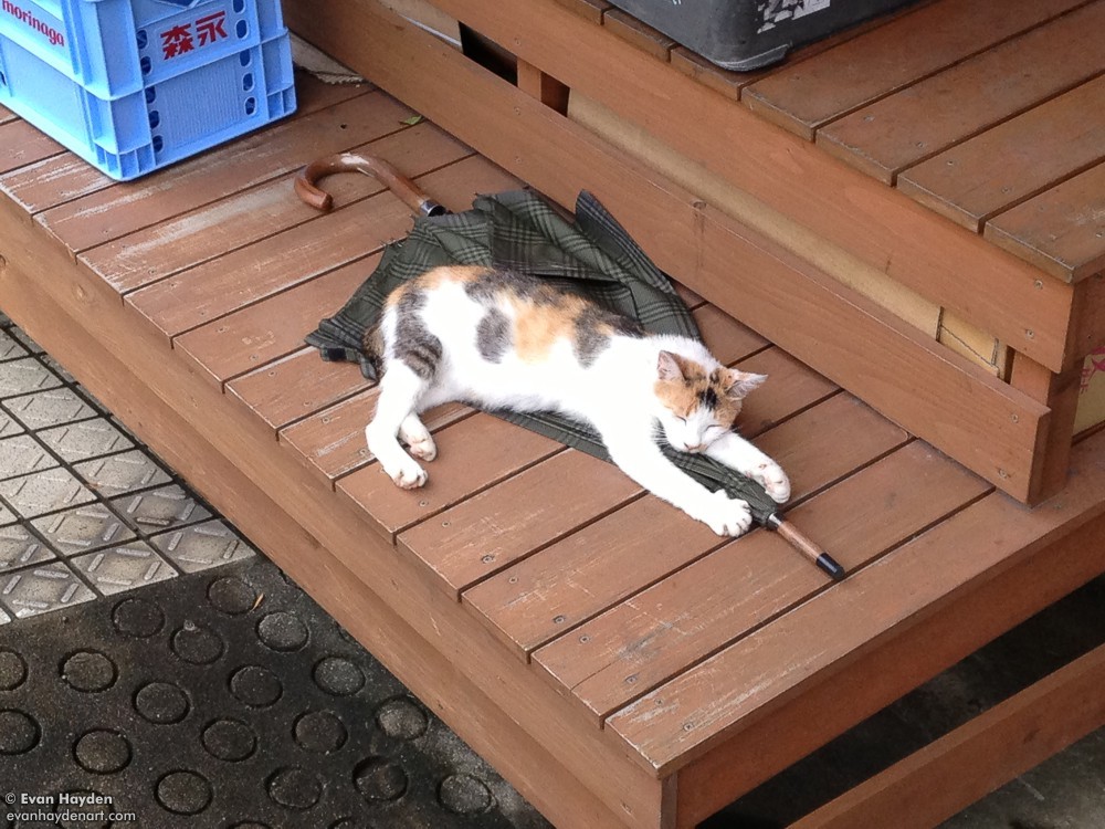 cats in Japan
