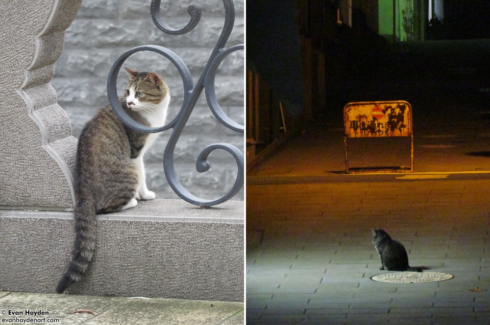 cats in Japan