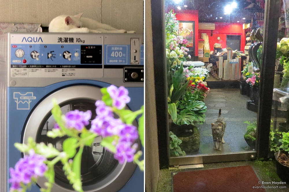 cats in Japan