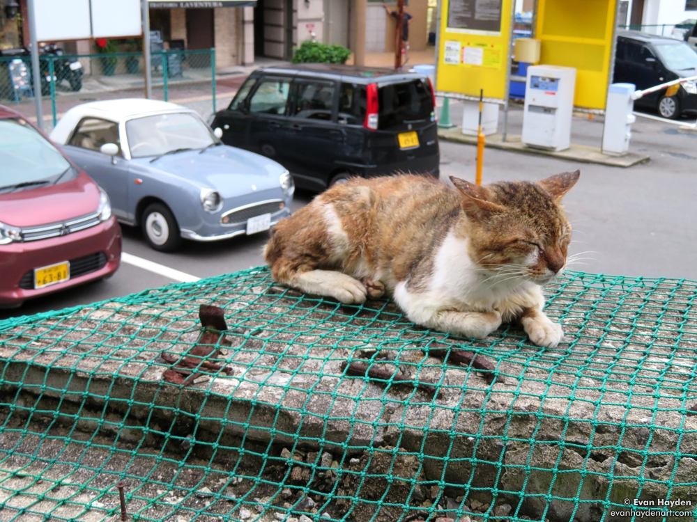 cats in Japan