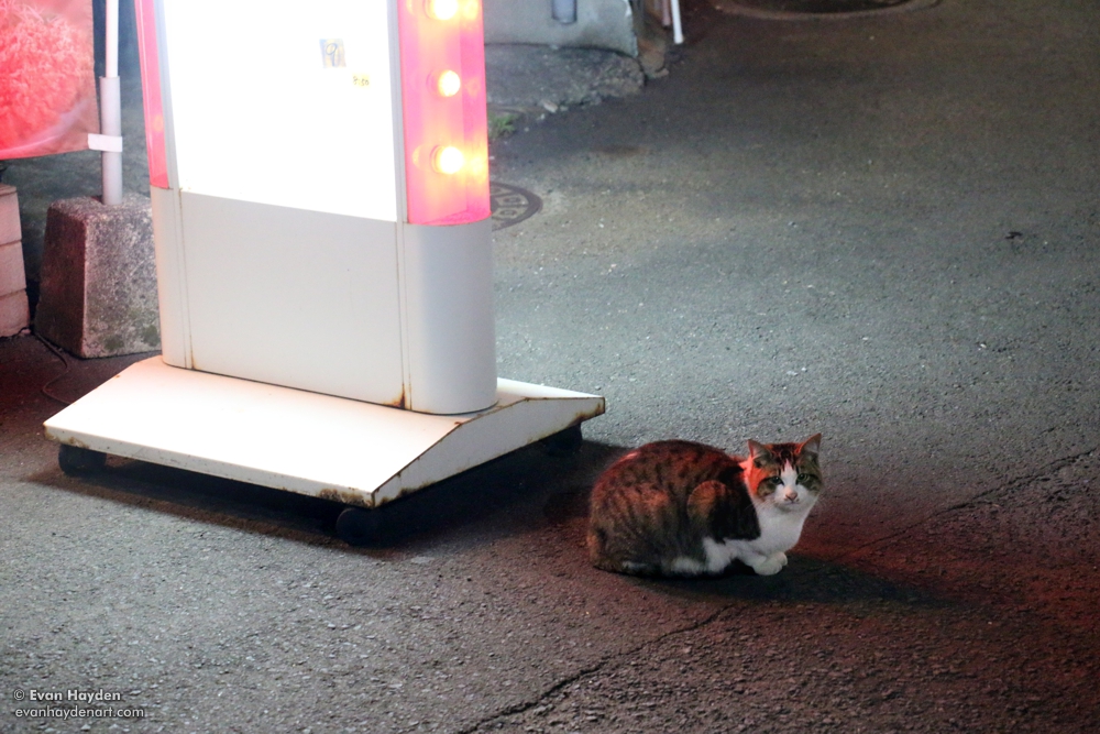 cats in Japan