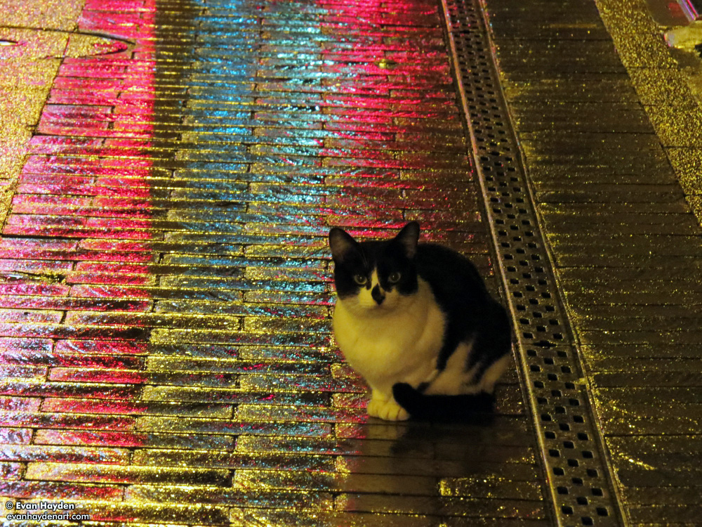 cats in Japan