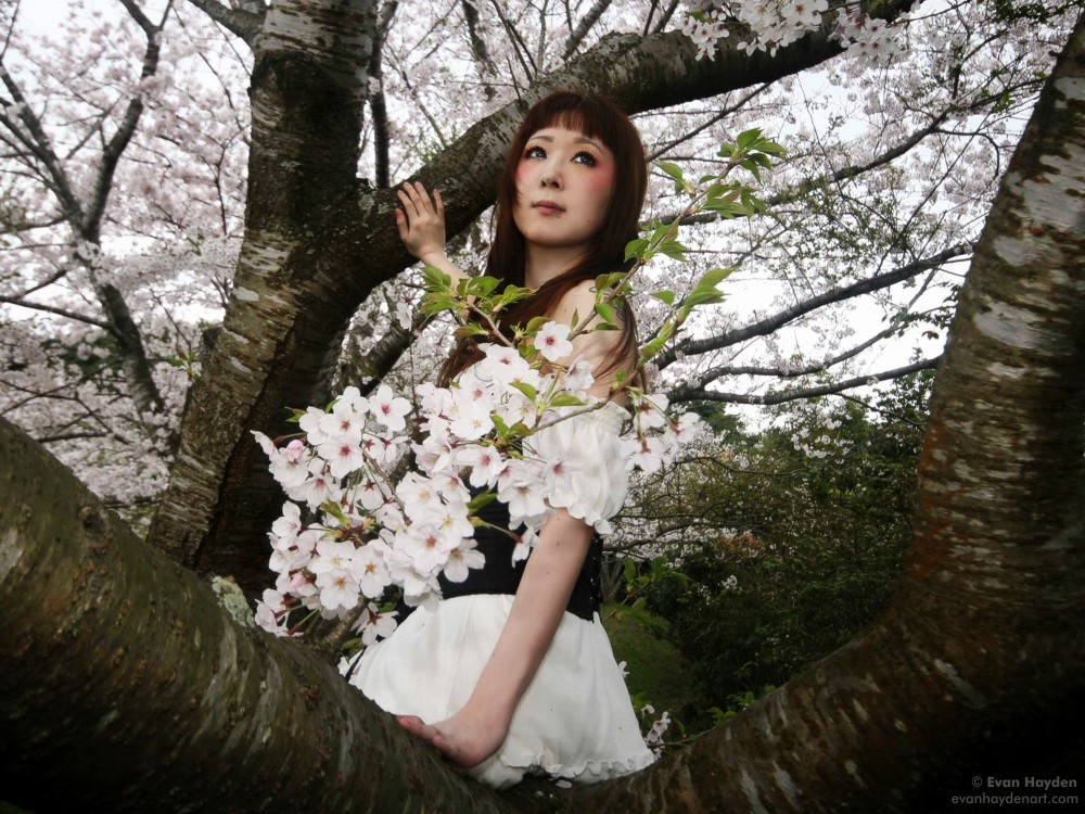 Fumi