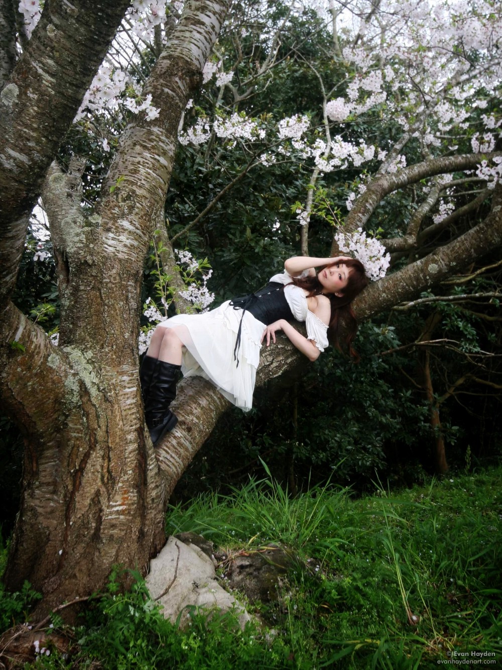 Fumi